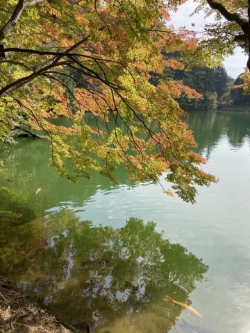 南伊奈ヶ湖 (9)