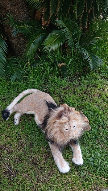 羊毛ライオン