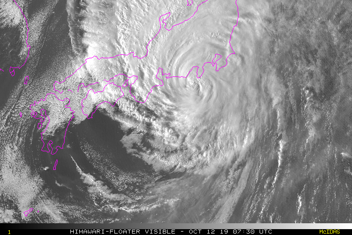 2019年 台風号19号 リアルタイム衛星画像