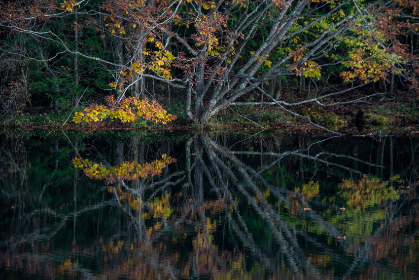 秋の池２