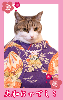 kimono39_mei.jpg