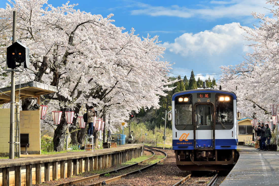 満開のさくら景色に祝福された能登半島屈指の桜スポット「能登さくら駅&のと鉄道七尾線」