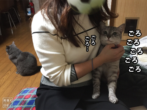 20200111_舐め猫8