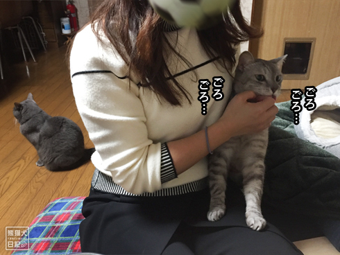 20200111_舐め猫5