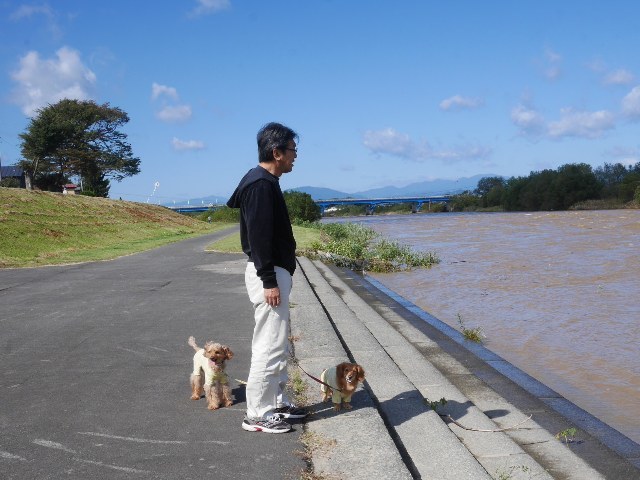 水量が凄い米代川１３にち