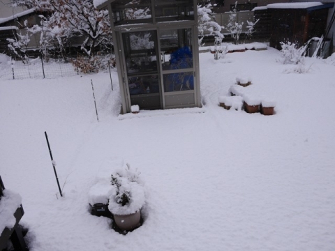 今朝の雪３－１６