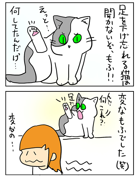 mofuashi2.jpg