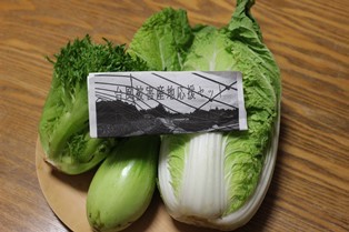 台風被害　応援　野菜