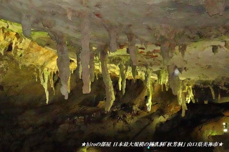 hiroの部屋 日本最大規模の鍾乳洞「秋芳洞」 山口県美祢市
