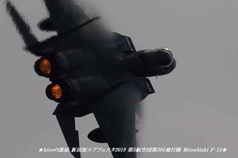 hiroの部屋 新田原エアフェスタ2019 第5航空団第305飛行隊 Mitsubishi F-15 Eagle