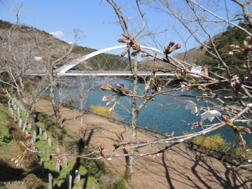 鎌瀬橋　20200323