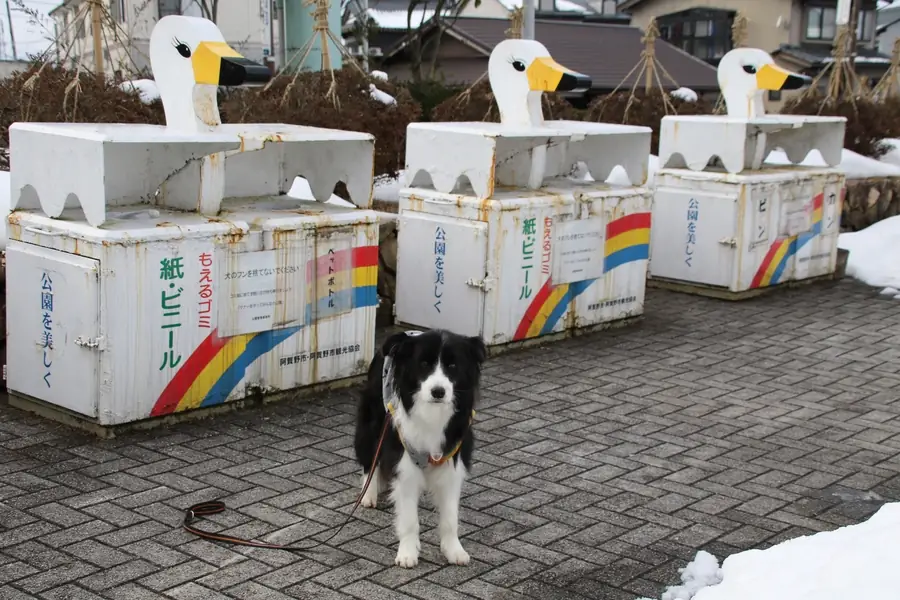 瓢湖に置かれている白鳥の形をしたゴミ箱