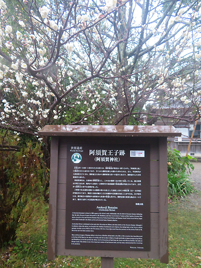 阿須賀神社2
