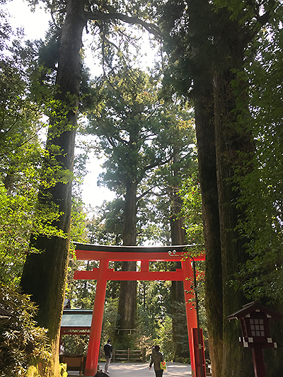 箱根神社11