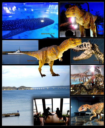 恐竜博物館から能登島へ