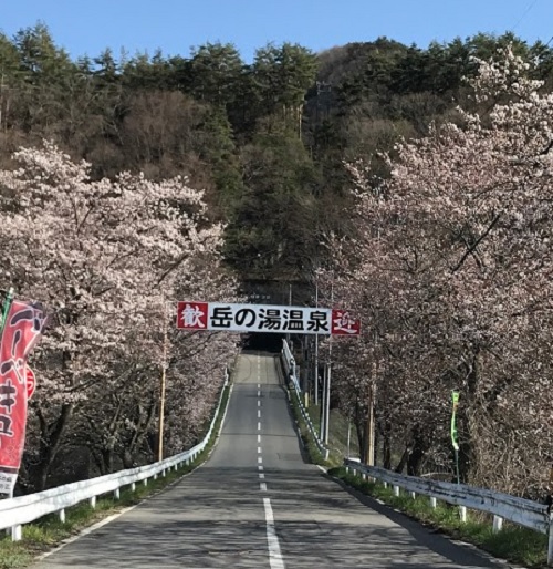 0414_桜