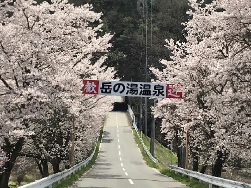 0421_桜