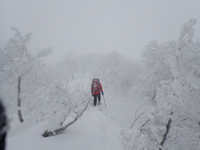 菱ヶ岳への登り