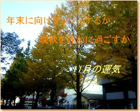 019-autumn01.jpg